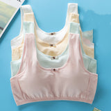 Students' Big Girl, Developmental, Little Vest Bra