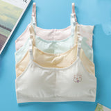 Students' Big Girl, Developmental, Little Vest Bra