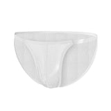 Men's Full Mesh Transparent Panties, Thin Low Waist, Breathable Briefs (Pack of 2)