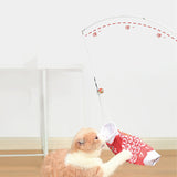 Wooden Pole Steel Wire Toy Fishing Rod, Carbon Fiber Carp Streamer Funny Cat Stick