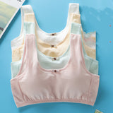 Students' Big Girl, Developmental, Little Vest Bra