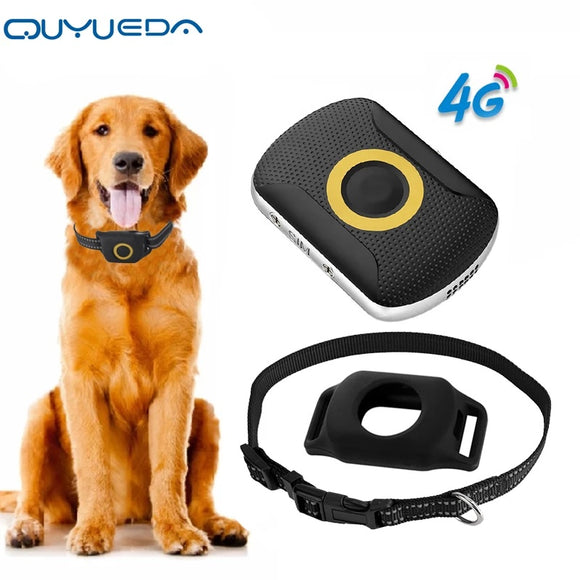 A29 Children Elders' Medicine Reminder, Premium Quality Waterproof Pet Personal GPS Tracker Collar for Dogs