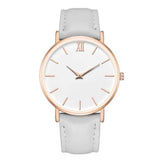 Frosted Belt, Ladies' Fashion Quartz Casual Watch