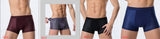 Ice Silk Men's Underwear, Mesh Boxers