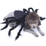 Funny Black Spider, Dog or Cat Decoration