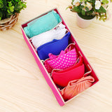 Clothing bra storage box