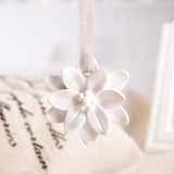 Car Mounted Gypsum Flower Fragrance