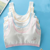 Students' Big Girl, Developmental, Little Vest Bra