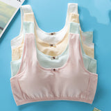 Students' Big Girl, Developmental, Little Vest Bra