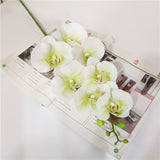 7 Phalaenopsis Artificial Flowers