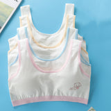 Students' Big Girl, Developmental, Little Vest Bra