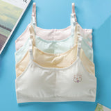 Students' Big Girl, Developmental, Little Vest Bra