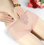 Soft Transparent Panties, Women's Lace Thin Mesh Undies (Pack of 2)