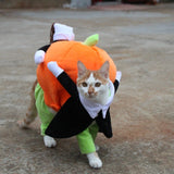 Halloveen Pumpkin Clothes for Pets