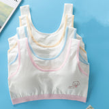 Students' Big Girl, Developmental, Little Vest Bra