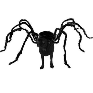 Funny Black Spider, Dog or Cat Decoration