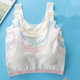 Students' Big Girl, Developmental, Little Vest Bra