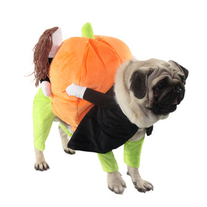 Halloveen Pumpkin Clothes for Pets