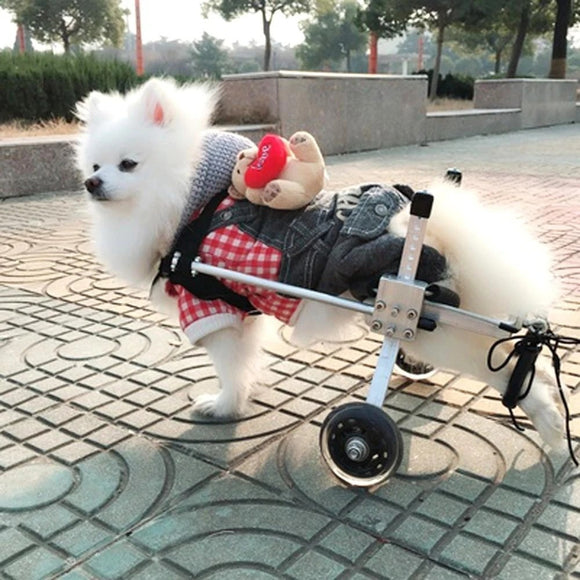 Dog Wheelchair - Fully Adjustable, Small Dogs' Mechanism