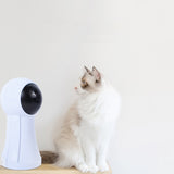 Funny Cat Artifacts, Infrared Laser Exercise for Pets