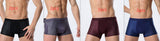 Ice Silk Men's Underwear, Mesh Boxers