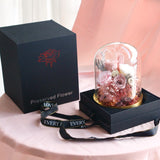 Valentine's Day Preserved Flower, Heart-shaped Birthday Gift