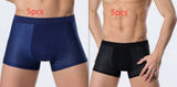 Ice Silk Men's Underwear, Mesh Boxers