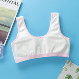 Students' Big Girl, Developmental, Little Vest Bra