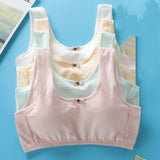 Students' Big Girl, Developmental, Little Vest Bra