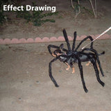 Funny Black Spider, Dog or Cat Decoration