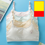 Students' Big Girl, Developmental, Little Vest Bra