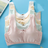 Students' Big Girl, Developmental, Little Vest Bra