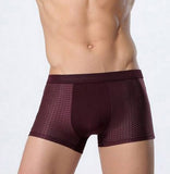 Ice Silk Men's Underwear, Mesh Boxers