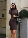 Knitted Turtleneck Tight European, American and French Style Elegant Bottoming Striped Elegant Dress