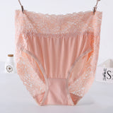 Plus Size Models, Women's Lace Panties