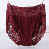Plus Size Models, Women's Lace Panties