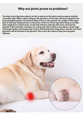 Pet Joint Protector, Fracture Disability Fixed Knee Pad, Leg Auxiliary Strap Dog Post-operative Protective Cover