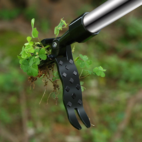 Standing Plant Root Extractor Tool
