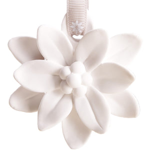 Car Mounted Gypsum Flower Fragrance