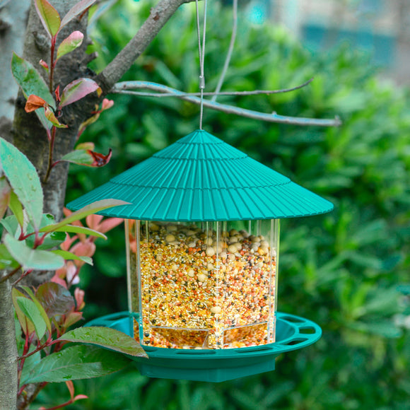 Outdoor Garden Hanging Transparent Bird Feeder