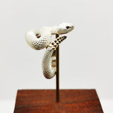 925 Sterling Silver Plated Rattlesnake, Trendy Special-interest Design Retro INS Niche Classic Ring