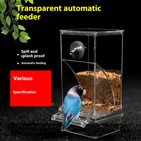 Transparent Automatic Plug-in Bird Food Container