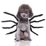 Funny Black Spider, Dog or Cat Decoration