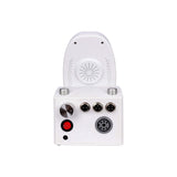 Portable RF Radio Frequency Beauty Instrument